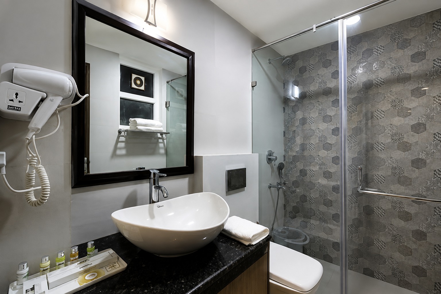 Platinum room at Delhieez hotel in Vikram Vihar Delhi